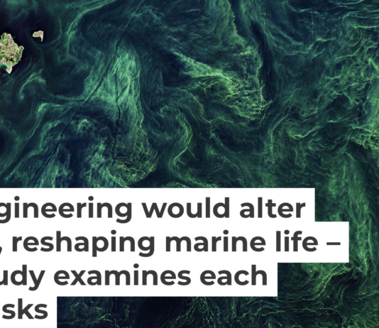 Phytoplankton blooms, seen by satellite in the Baltic Sea, pull carbon dioxide out of the atmosphere. European Space Agency via Flickr, CC BY-SA